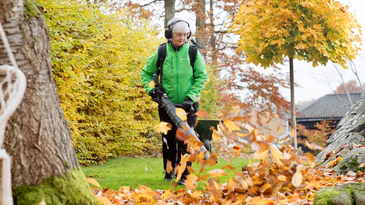 5 tips för en magisk trädgård i höst